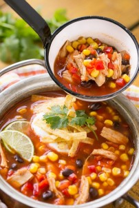 quick-and-easy-chicken-taco-soup-3-683x1024